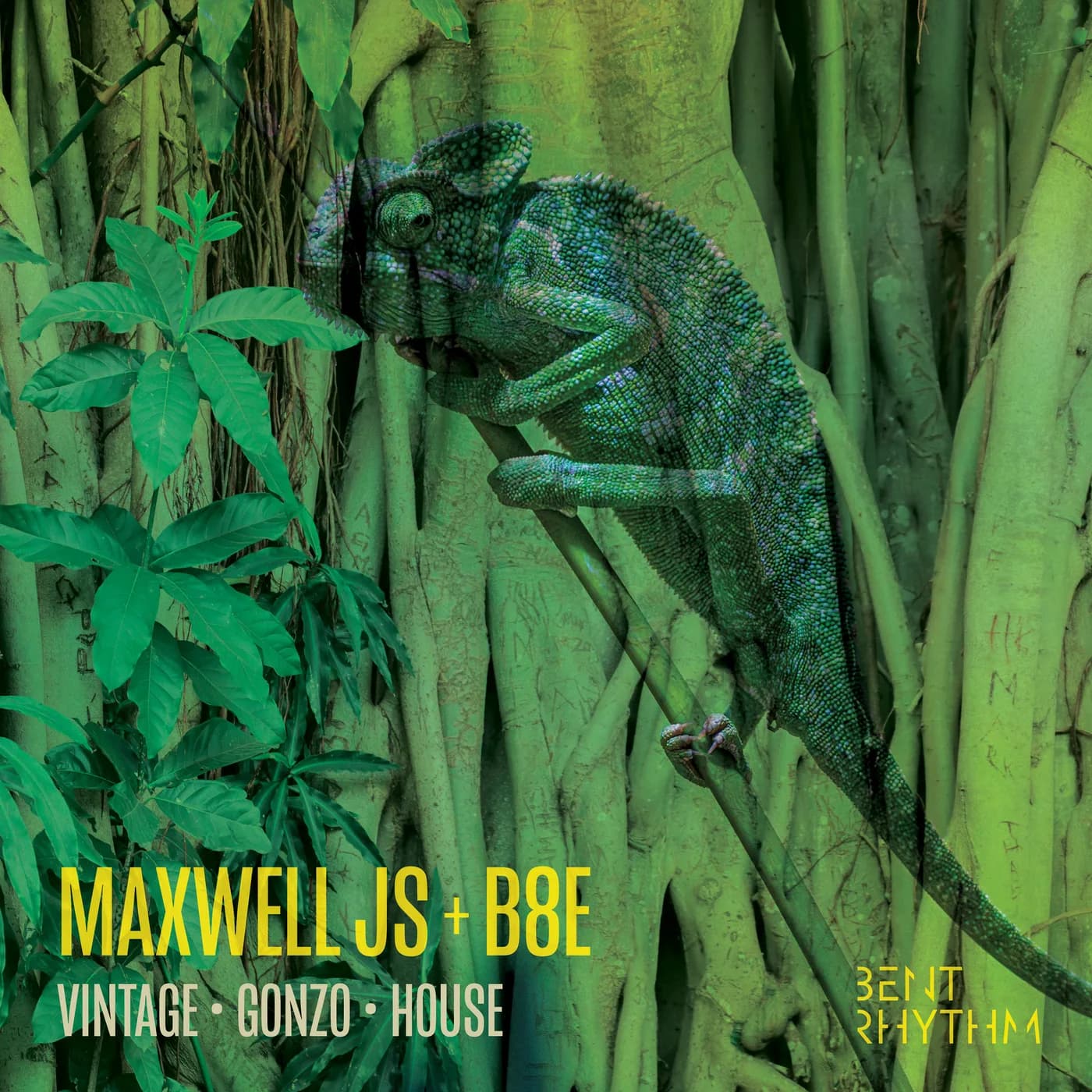 Vintage Gonzo House — Maxwell JS, B8E